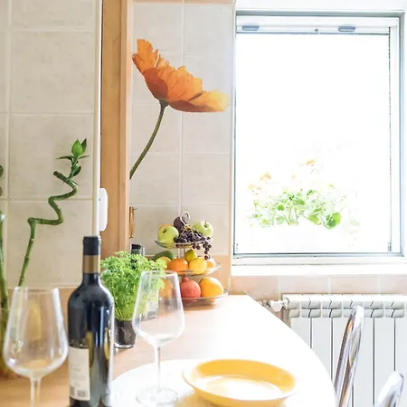Apartment Herastrau Park - Business District - Arancia *
