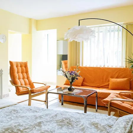 Herastrau Park - Business District - Arancia Apartment *
