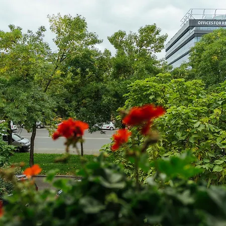 Herastrau Park - Business District - Arancia Bukareszt