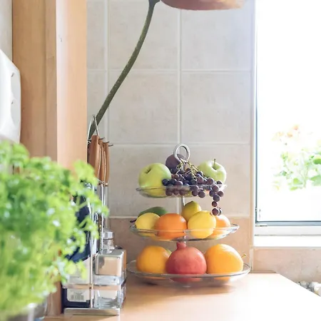 Herastrau Park - Business District - Arancia