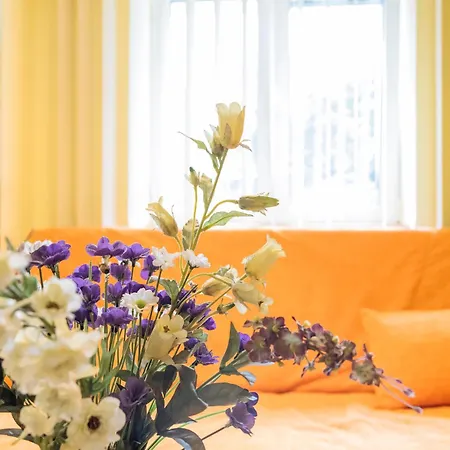 Apartment Herastrau Park - Business District - Arancia