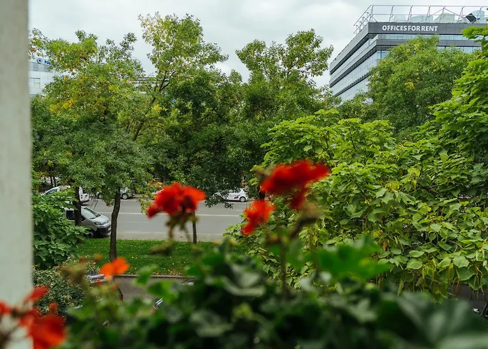 Herastrau Park - Business District - Arancia Bukareszt