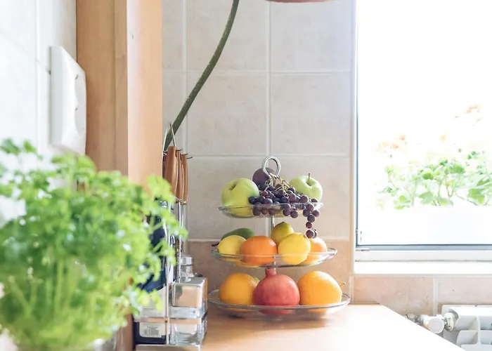 Herastrau Park - Business District - Arancia