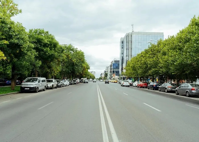 Herastrau Park - Business District - Arancia *